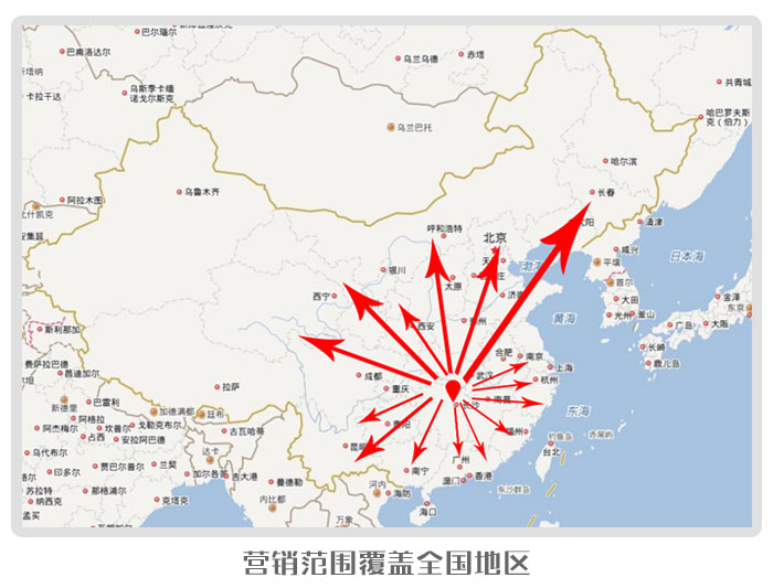 營(yíng)銷(xiāo)網(wǎng)絡(luò) 營(yíng)銷(xiāo)網(wǎng)絡(luò)